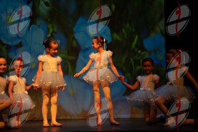 SHOW_02007.jpg